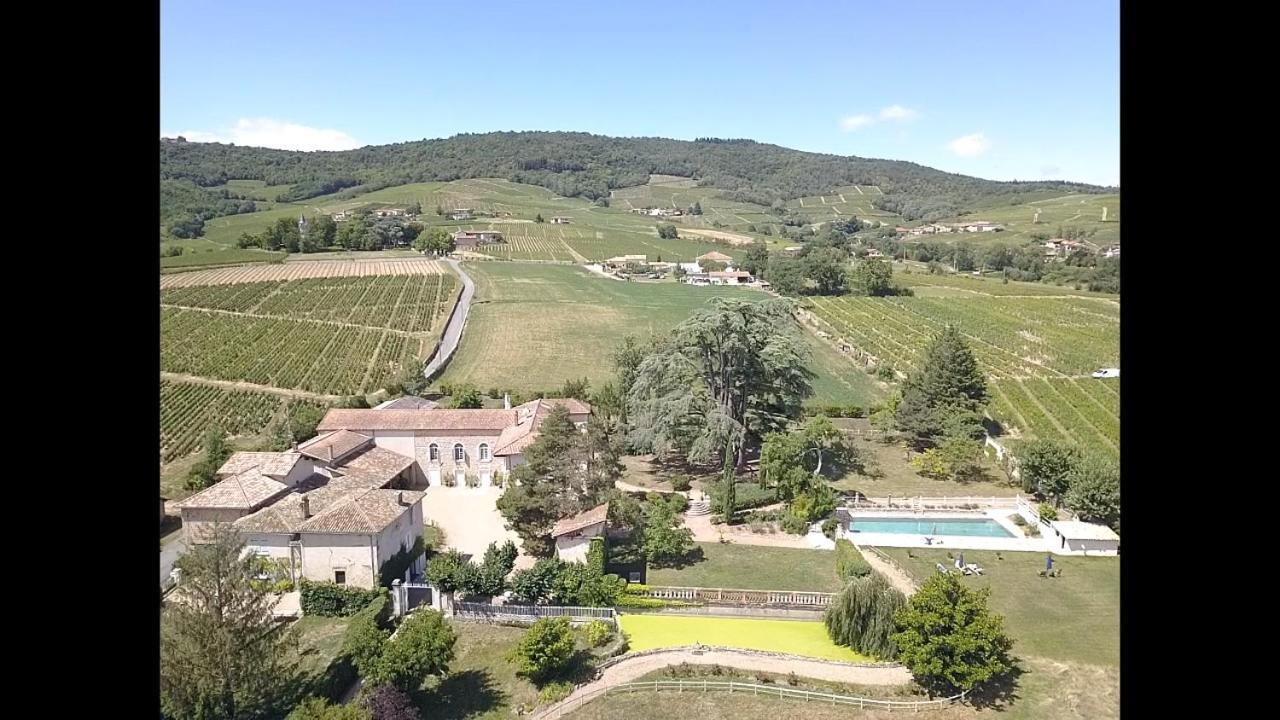 Domaine De La Baisse Villa Saint-Etienne-la-Varenne Eksteriør billede