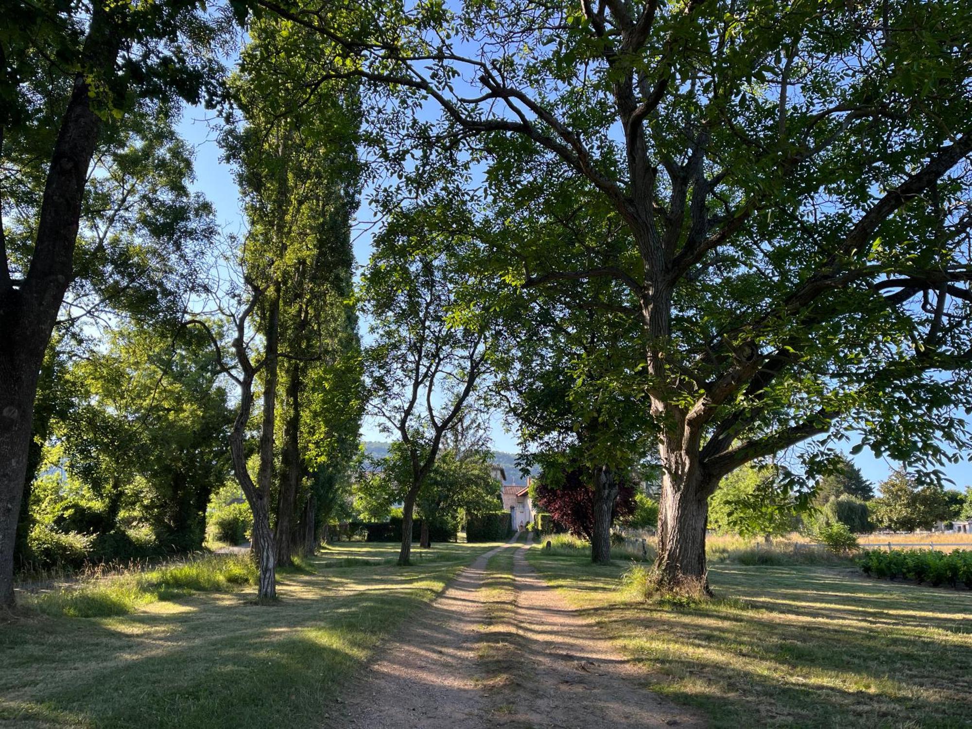 Domaine De La Baisse Villa Saint-Etienne-la-Varenne Eksteriør billede